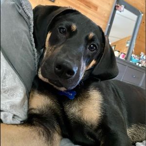 Meet your Posher, Mackenzie